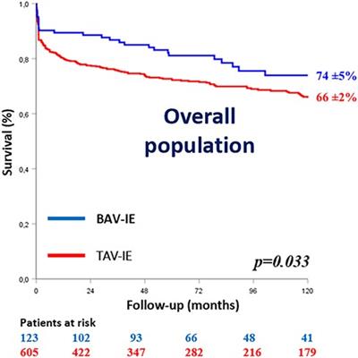Characteristics and prognosis of isolated aortic valve infective endocarditis in patients with bicuspid aortic valves: a propensity matched study